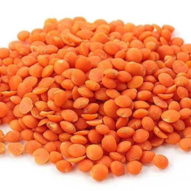Red Masoor