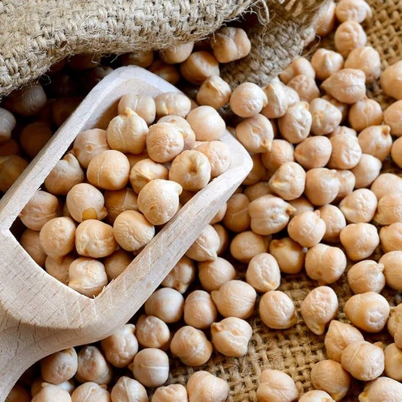 White Chana